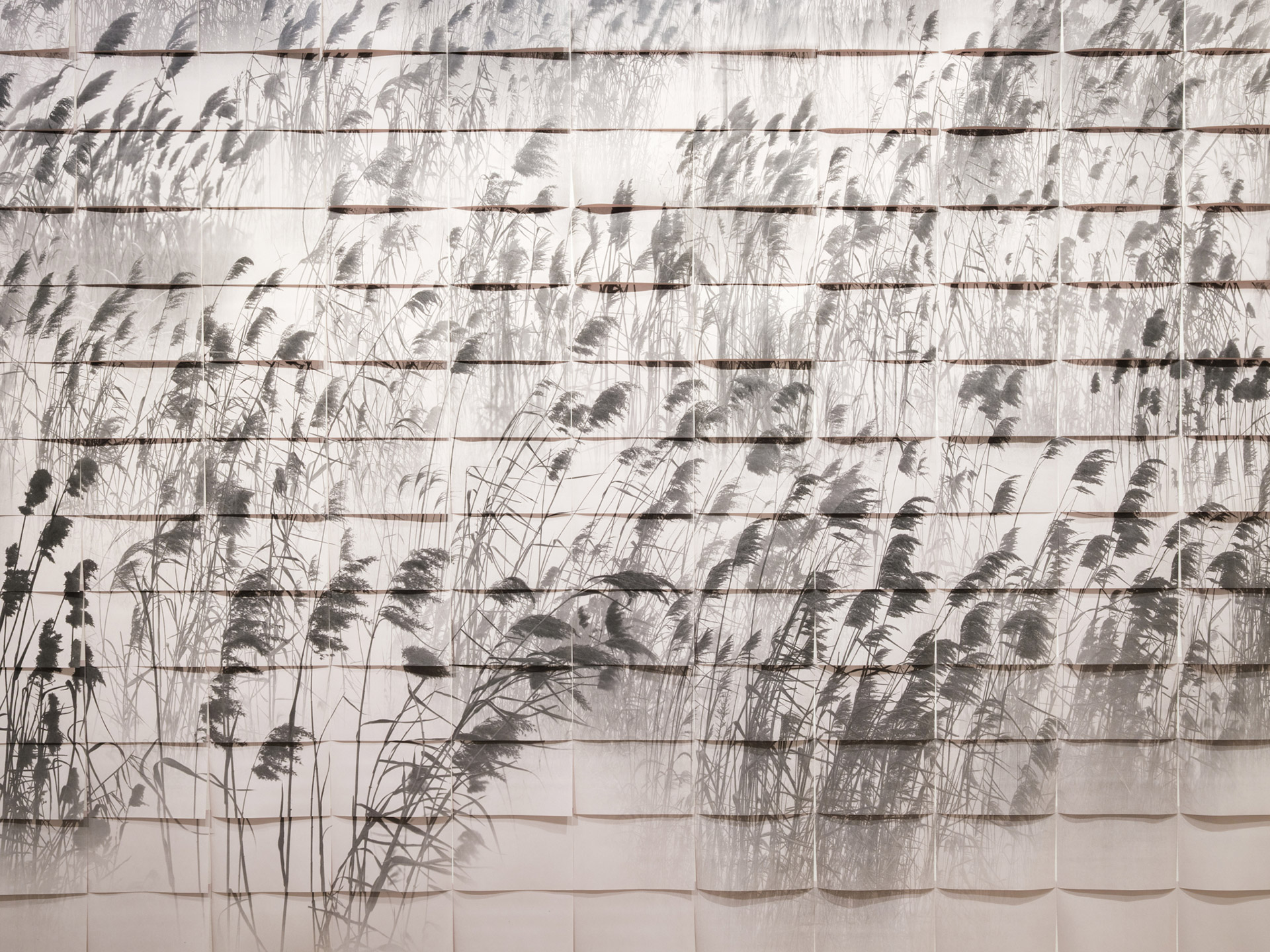 FANG-DAQI_The-Marshes02
