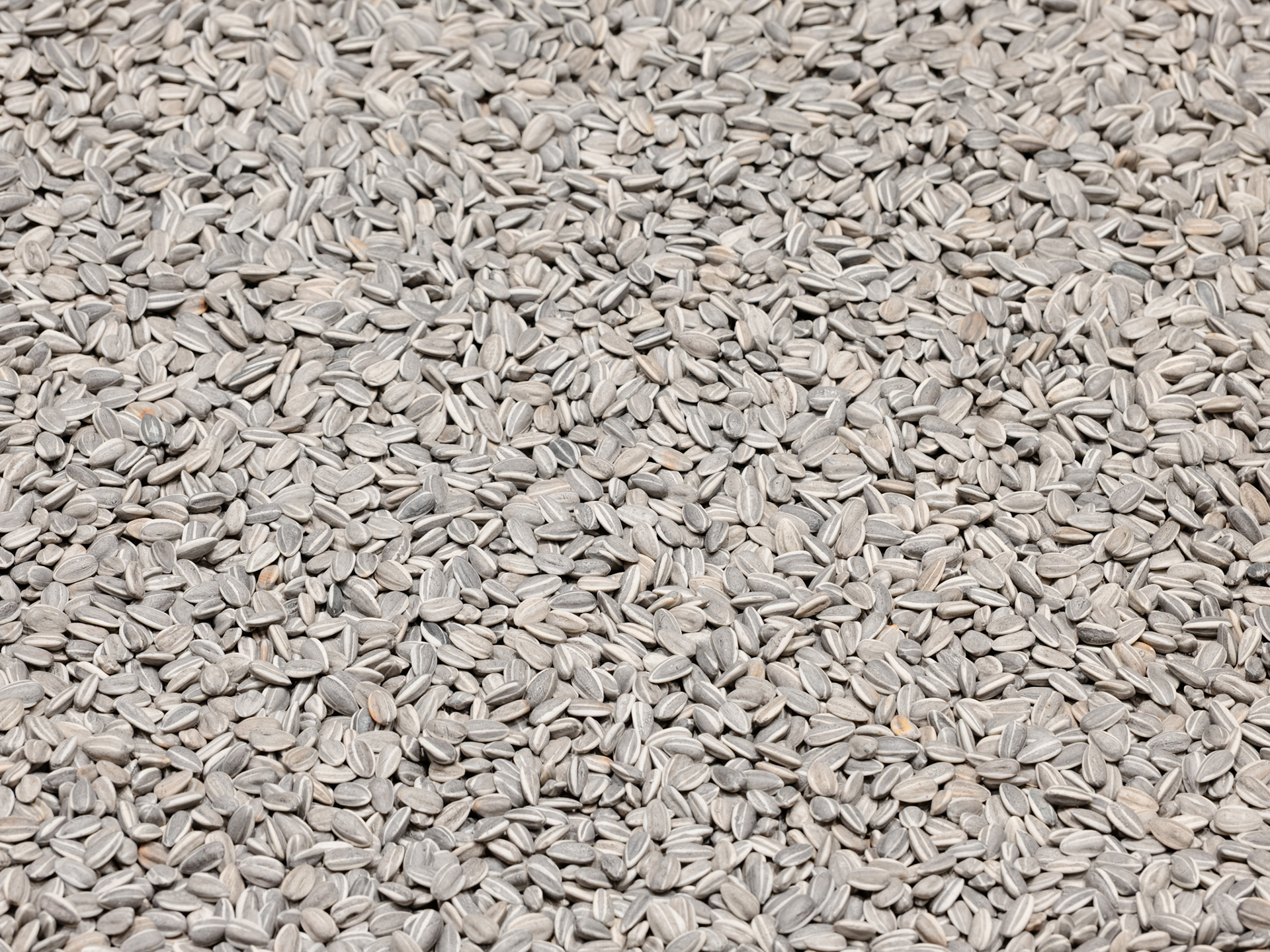 AI-WEIWEI_Sunflower-Seeds_2