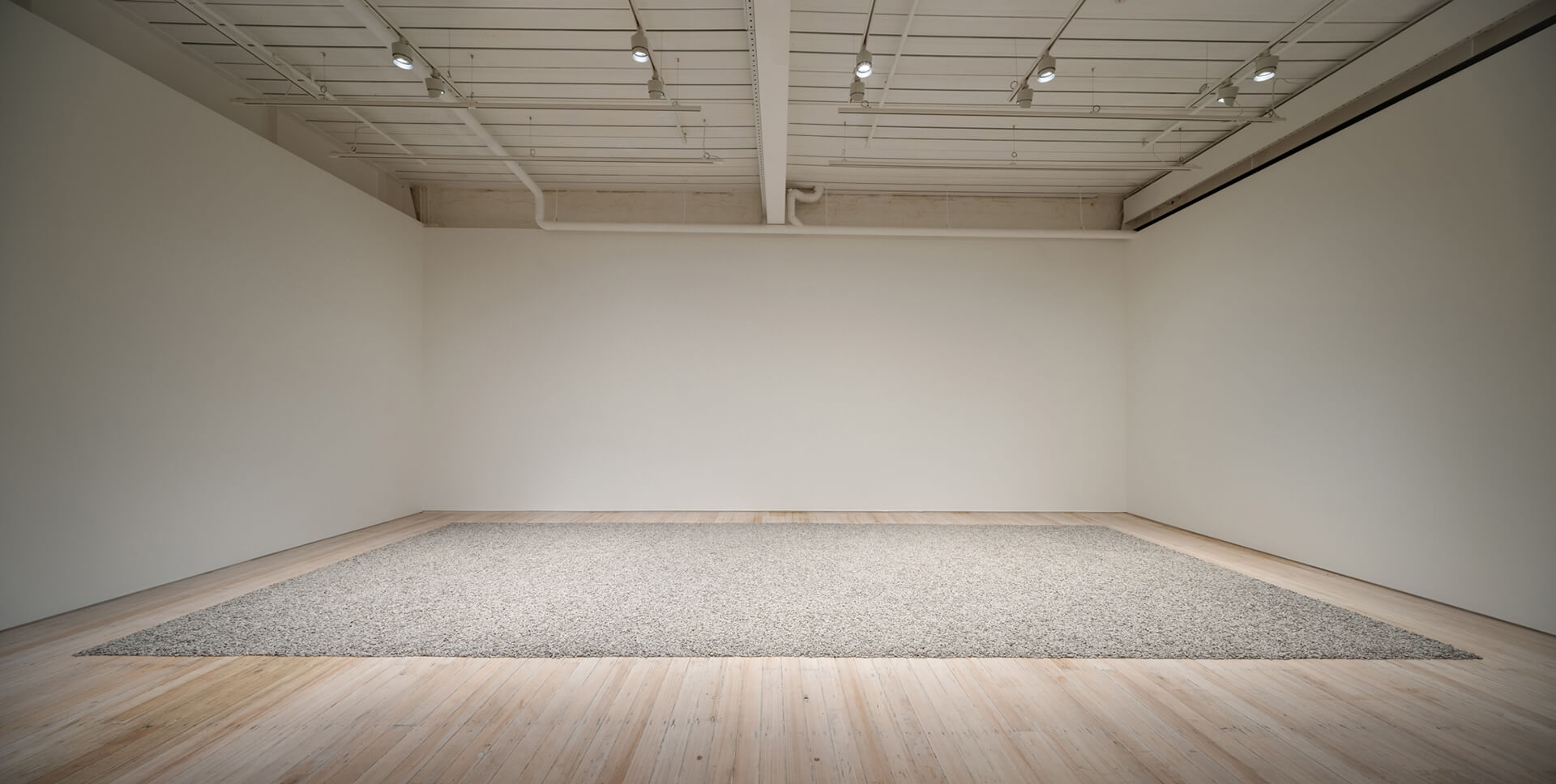 AI-WEIWEI_Sunflower-Seeds_4