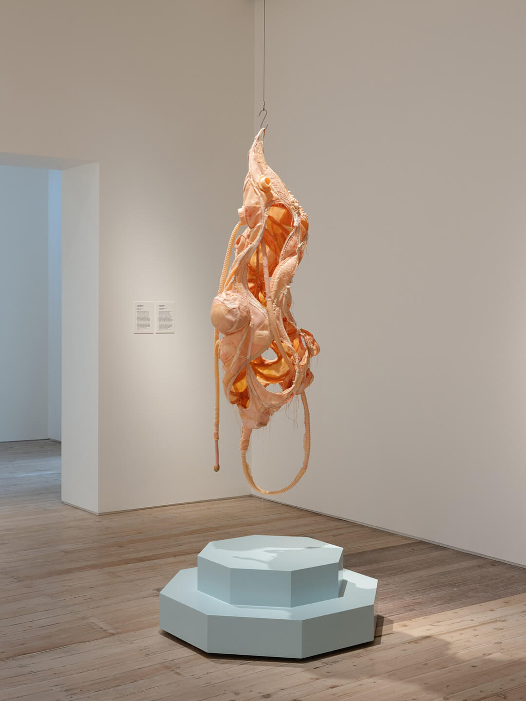 WANG-YUYU_Patching-Practice-Trifoliate-Orange_2